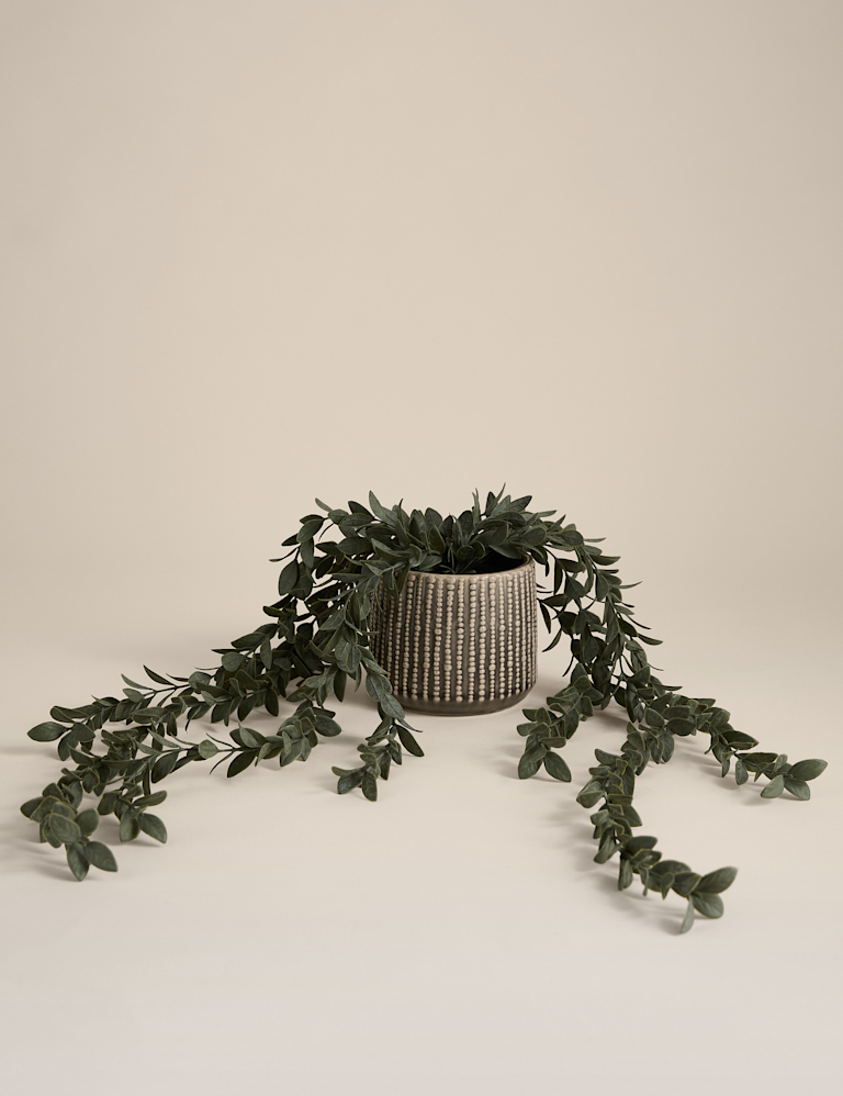 Artificial Trailing Boxwood in Ceramic Pot Artificial Trailing Boxwood in Ceramic Pot