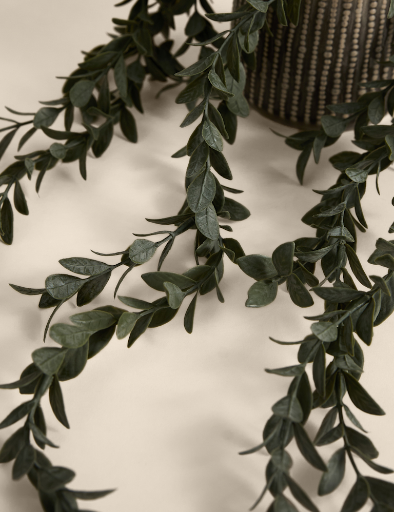 Artificial Trailing Boxwood in Ceramic Pot