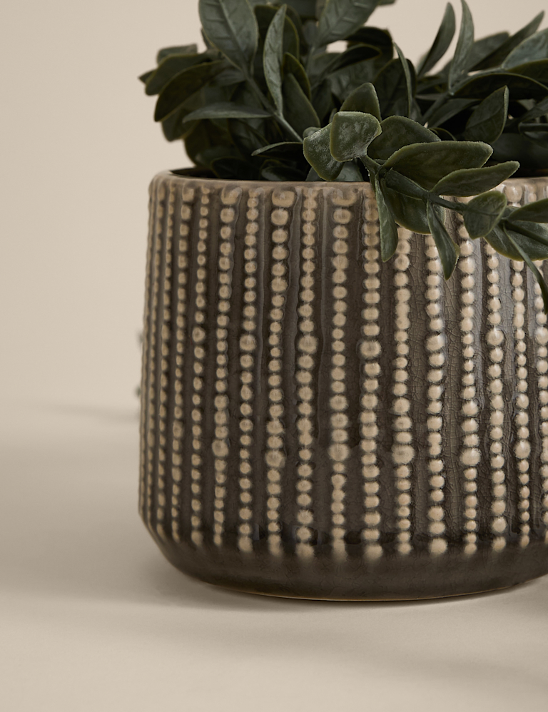 Artificial Trailing Boxwood in Ceramic Pot