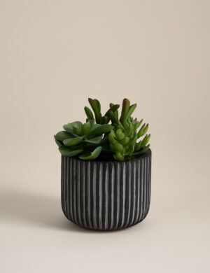 Artificial Succulents in Ridged Cement Pot