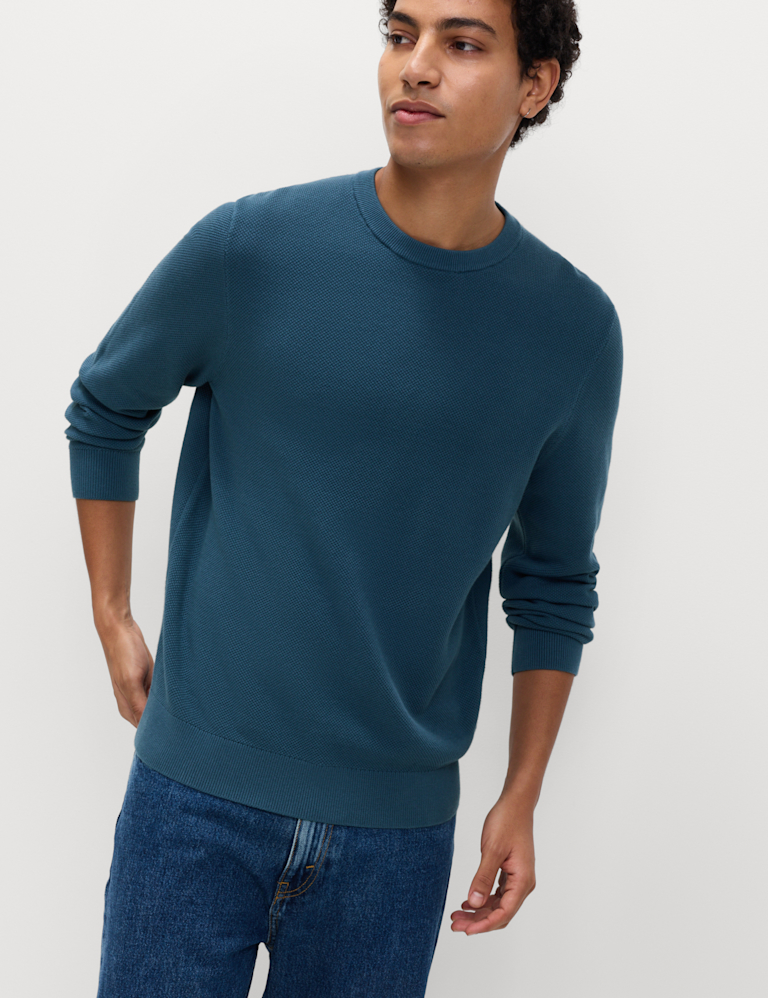 Pure Cotton Textured Crew Neck Jumper