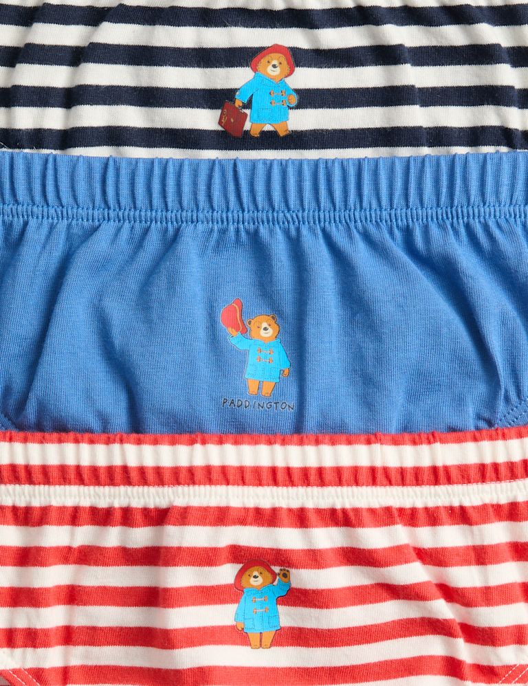 5 Pack Pure Cotton Paddington™ Briefs (2-8 Years)