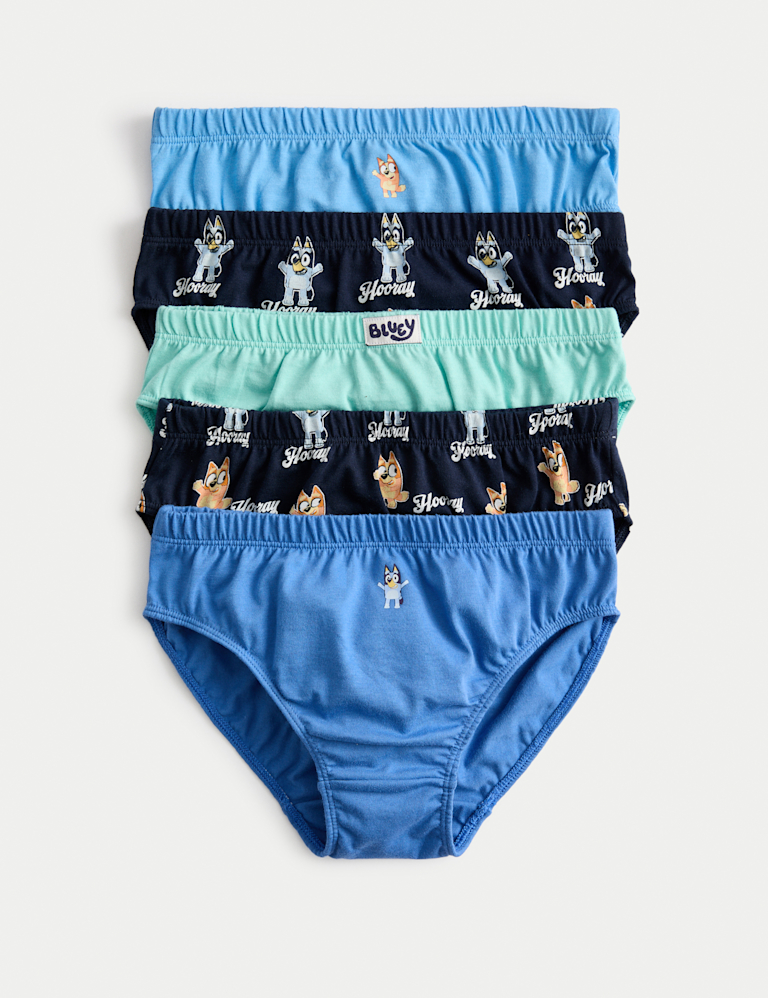 5 Pack Pure Cotton Bluey™ Briefs (2-8 Yrs)