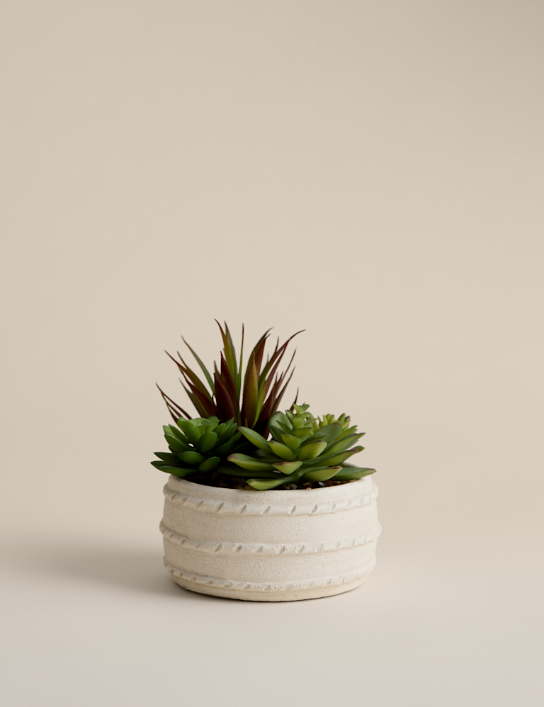Artificial Succulent in Ceramic Pot