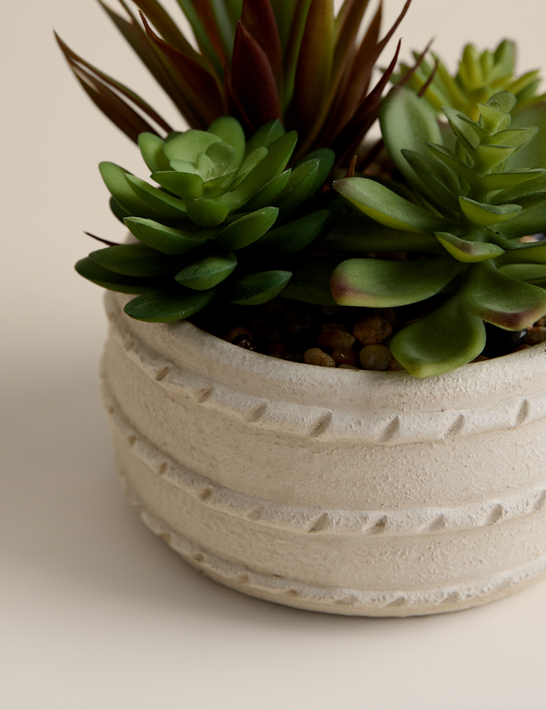 Artificial Succulent in Ceramic Pot