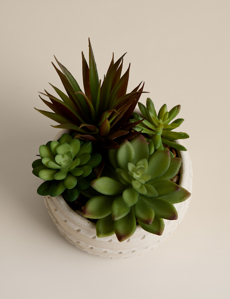 Artificial Succulent in Ceramic Pot