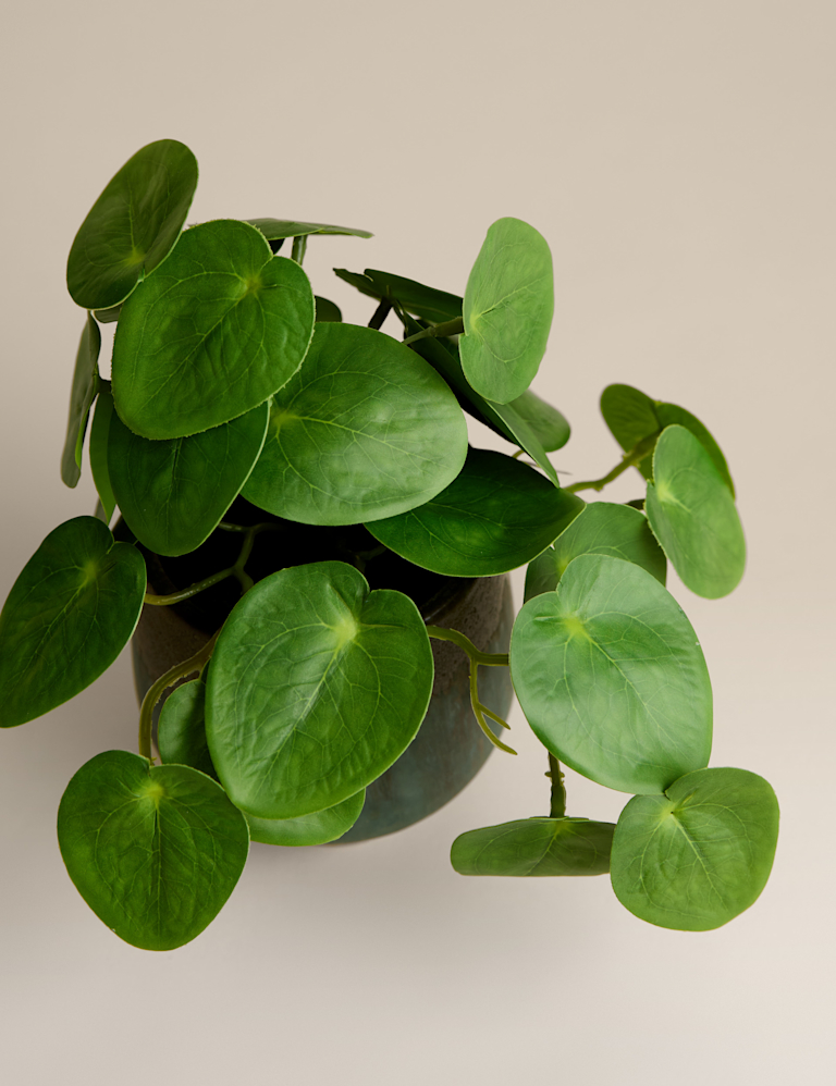 Artificial Money Plant in Ceramic Pot