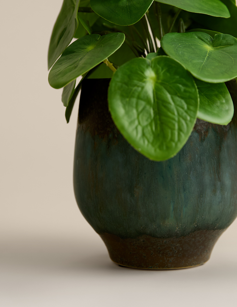 Artificial Money Plant in Ceramic Pot