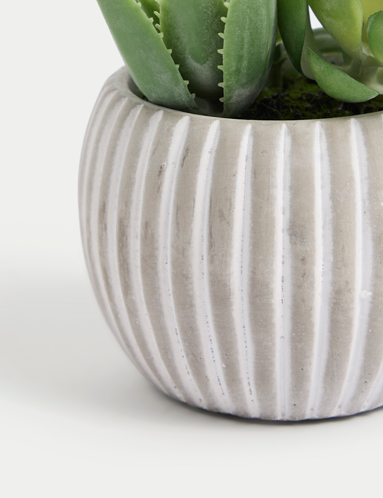 Artificial Succulents in Cement Pot