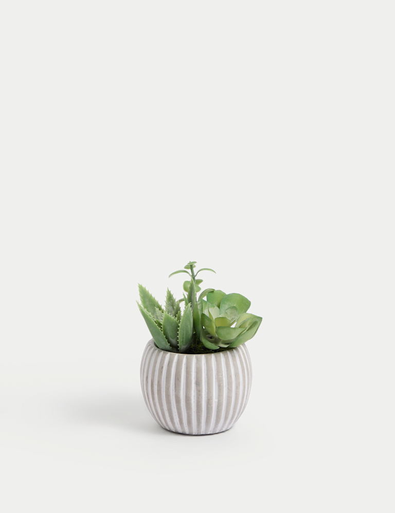 Artificial Succulents in Cement Pot