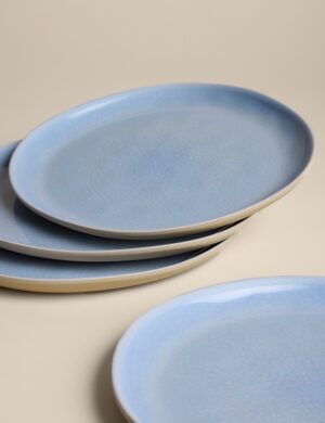 Set of 4 Linen Reactive Picnic Dinner Plates