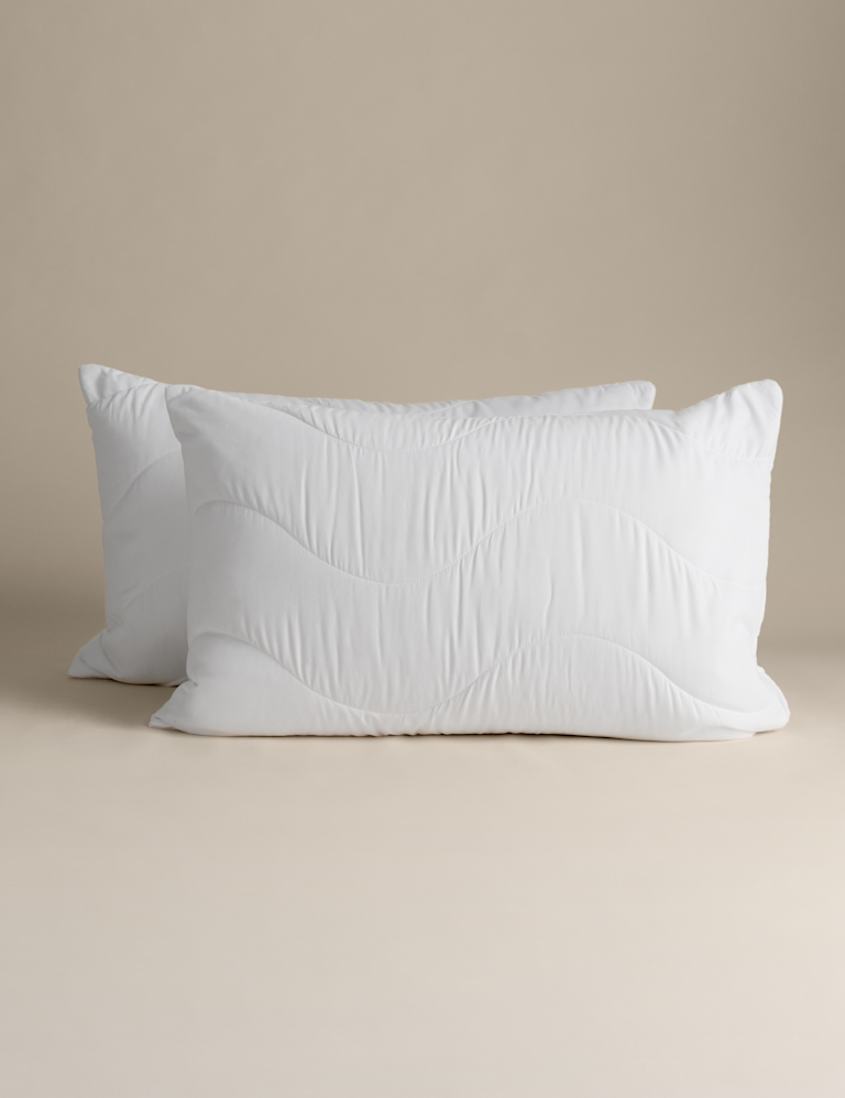 2 Pack Smart Wash & Dry Anti Allergy Pillow Protectors