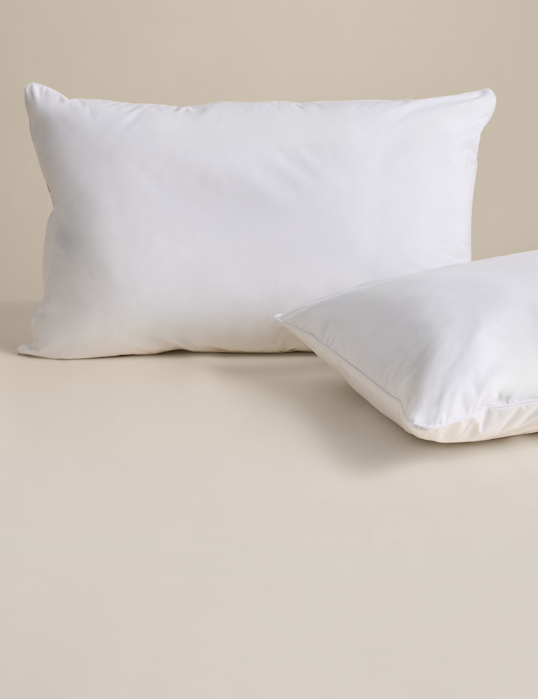 2 Pack Smart Wash and Dry Anti Allergy Medium Pillows
