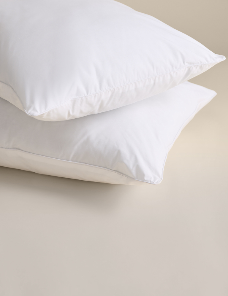 2 Pack Smart Wash & Dry Anti Allergy Firm Pillows