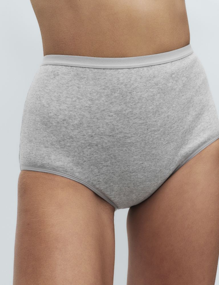2 Pack Heavy Absorbency Period Full Briefs